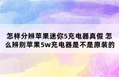 怎样分辨苹果迷你5充电器真假 怎么辨别苹果5w充电器是不是原装的